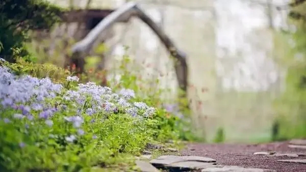 原生家庭与婚姻关系里的“前世今生”!