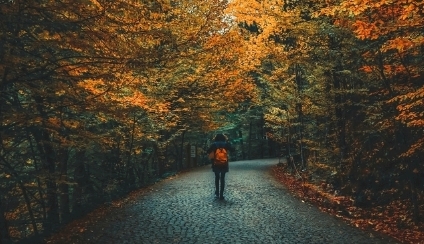 老婆出轨最好这样处理