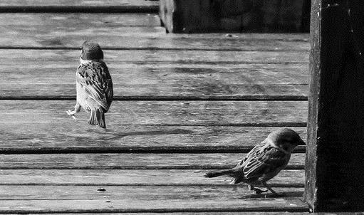 分手后，这样做就能挽回爱情