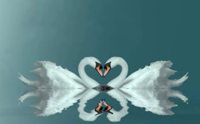 婚前婚后的落差，女性总感觉是从天堂到地狱