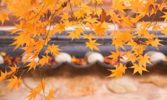 白头偕老的婚姻要经历四个阶段