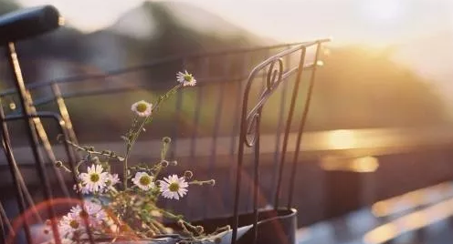 如何挽回男友，挽回不是跪舔，3招让他重新回心转意