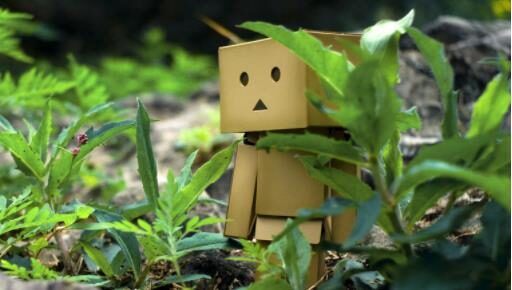 没有吵架的分手,悄无声息